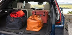 Choose Your Cadillac SUV