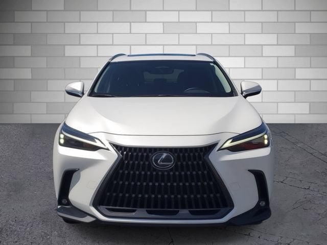2023 Lexus NX NX 350h