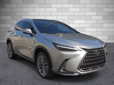 2022 Lexus NX NX 350h Luxury