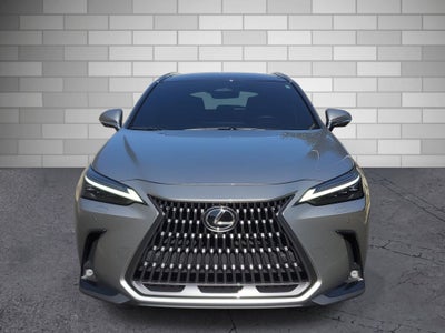 2022 Lexus NX NX 350h Luxury