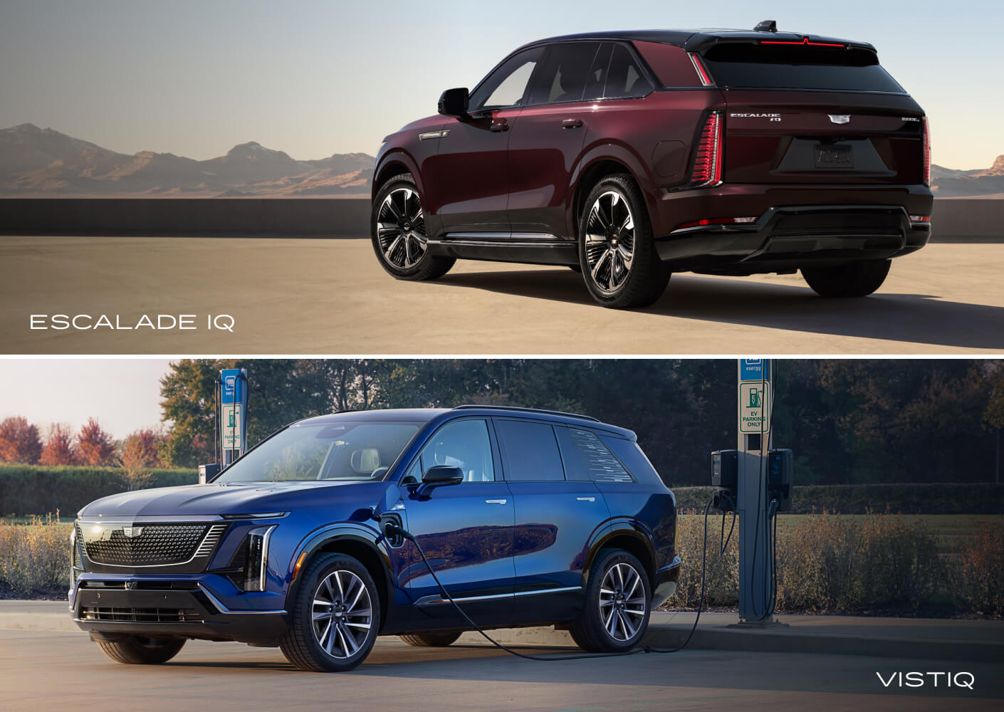 Explore the Incredible New Cadillac Model Lineup in Naples